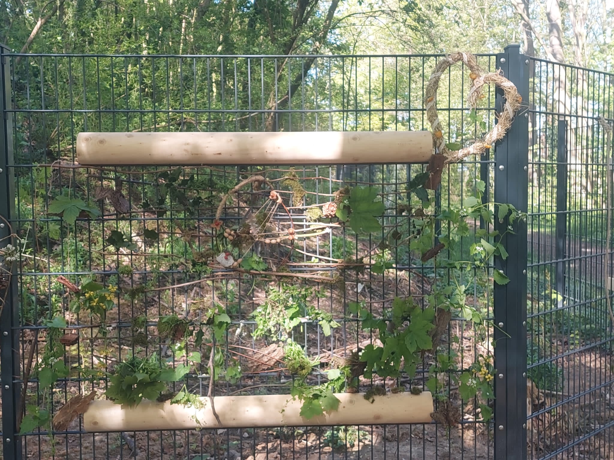 Zurück zur Natur
